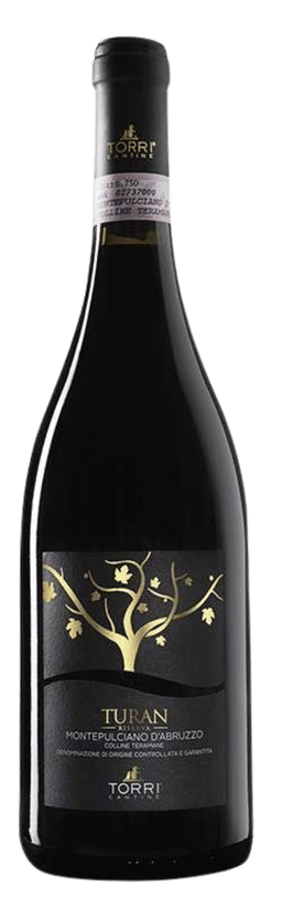 Montepulciano d'Abruzzo Riserva 2009 TURAN DOCG CANTINE TORRI